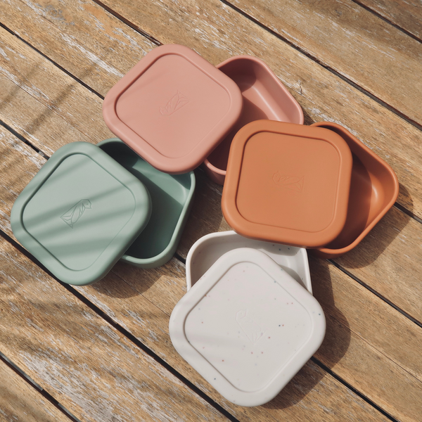 Bento Box Lite