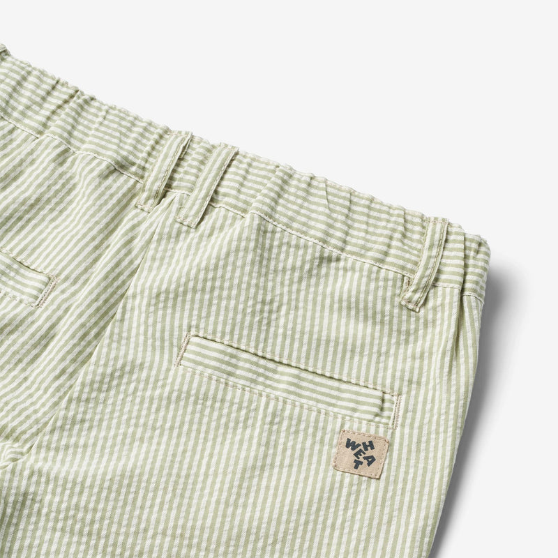 Elvig Shorts - Green Stripe