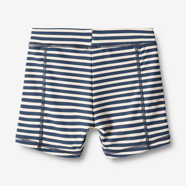 Ulrik Swim Shorts - Indigo Stripe