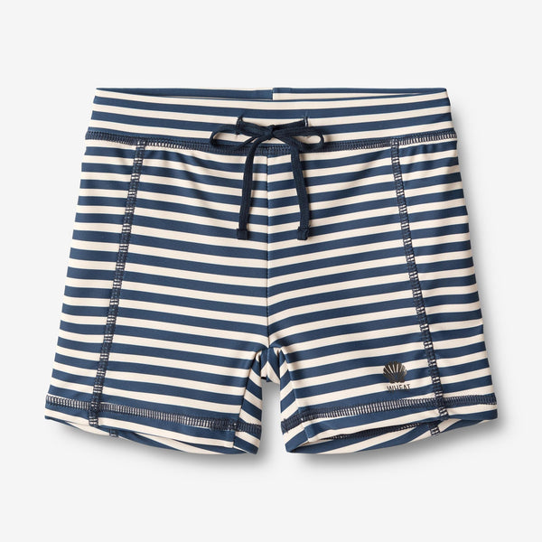 Ulrik Swim Shorts - Indigo Stripe