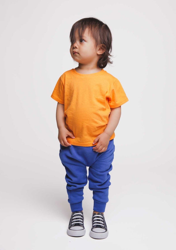 Organic cotton kids t-shirt available in 4 colours - blue, green, orange,  red